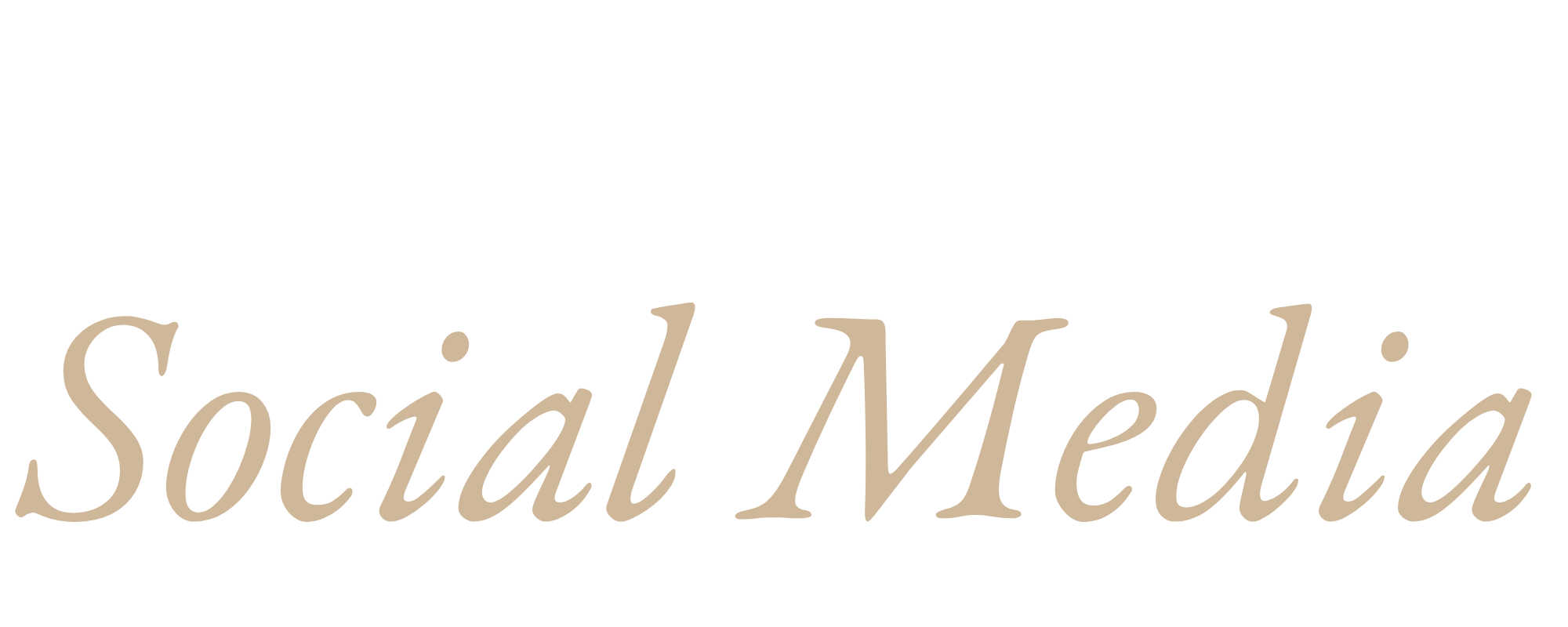 Website Materials (20)